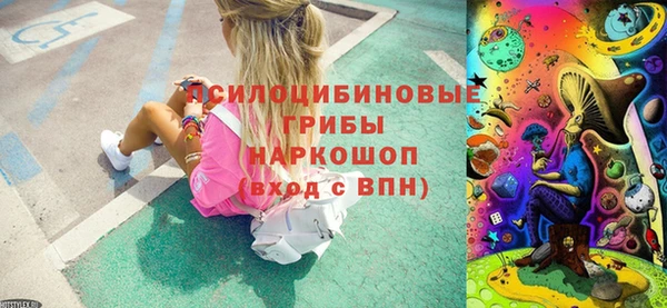 тгк Алексин