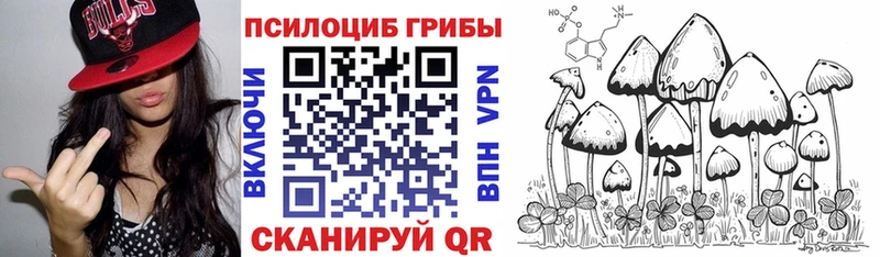 Псилоцибиновые грибы MAGIC MUSHROOMS  Хадыженск 