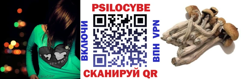 Псилоцибиновые грибы Psilocybine cubensis Хадыженск